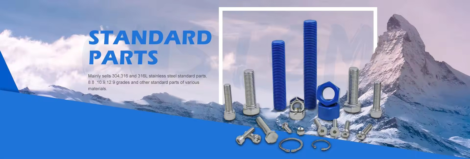 Fastener Bolts