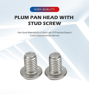 Stainless Steel 304 316 Cross Recessed Flat Head Machine Screw with Plain Finish