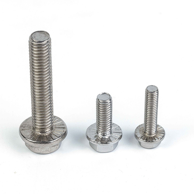 Customized 304 316 A2 A4 Hex Flange Titanium Machine Thread Bolt for Stainless Steel