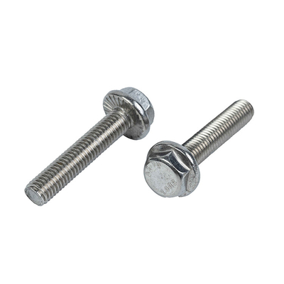 Metric Point Stainless Steel Hex Flange Bolt M6 M10 with GB Standard