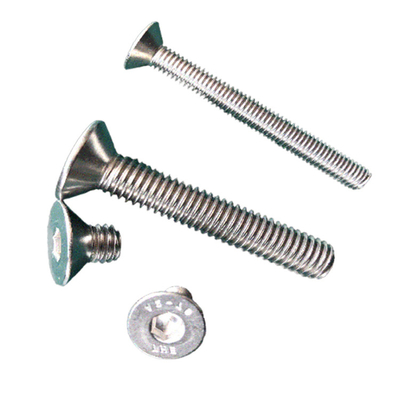 Customized Recessed Head Stainless Steel Machine Screw for Furniture Plain Finish
