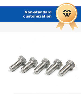 Extended Outer Hexagon Bolt with Full Thread and Plain Finish Made of Stainless Steel