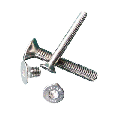 Plain Finish A-level Strength Custom A2 Stainless Steel Flush Mount Cylindrical Head Hex Socket Machine Screw