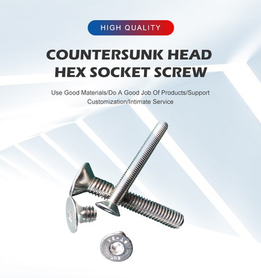 Plain Finish A-level Strength Custom A2 Stainless Steel Flush Mount Cylindrical Head Hex Socket Machine Screw