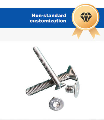 Plain Finish A-level Strength Custom A2 Stainless Steel Flush Mount Cylindrical Head Hex Socket Machine Screw