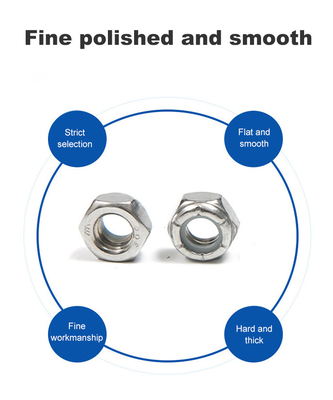 Finish Nylon Lock Nut Hexagonal Nut Stainless Steel DIN 982 100% Inspected
