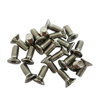 Full Thread Type Anti-theft License Plate Socket Head Torx Security Screw with Pin