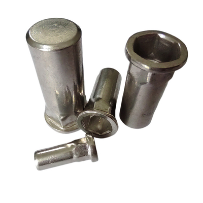 Stainless Steel Semi-Hex Blind Threaded Rivet Nut M3-M12 Grade for Performance