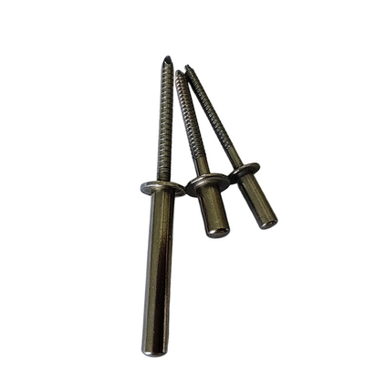 Heavy Duty and Closed End Stainless Steel Round Head Blind Rivet with DIN Standard