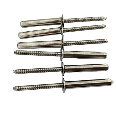 Weatherproof Stainless Steel Countersunk Blind Rivet Sealed for End Timely Delivery
