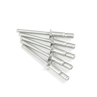 Custom Stainless Steel Rivets with Plain Finish from Chinese Manufacturers