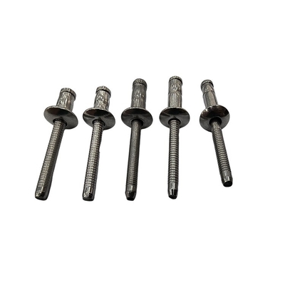 Hot Stainless Steel Hippocampus Shaped Blind Rivets with One-stop Customized Service