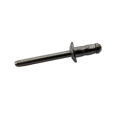 Hot Stainless Steel Hippocampus Shaped Blind Rivets with One-stop Customized Service
