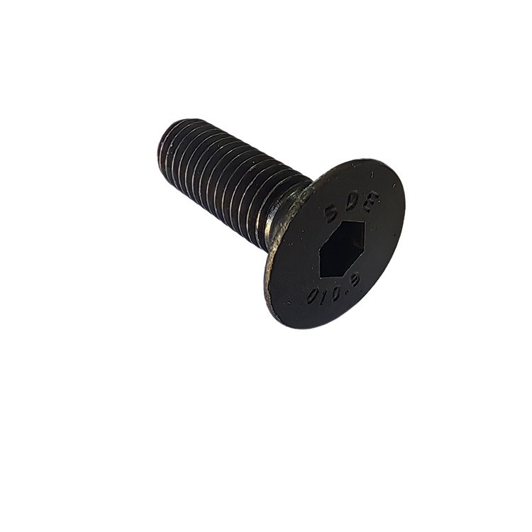 Full Thread Black Oxide Alloy Steel Allen Cap Screw with Pan Head and DIN Standard