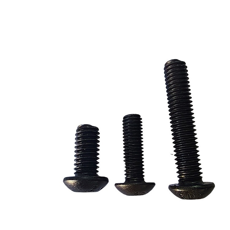Stainless Steel Hex Socket Cap Screw at Affordable from Alloy Steel Screw Guaranteed