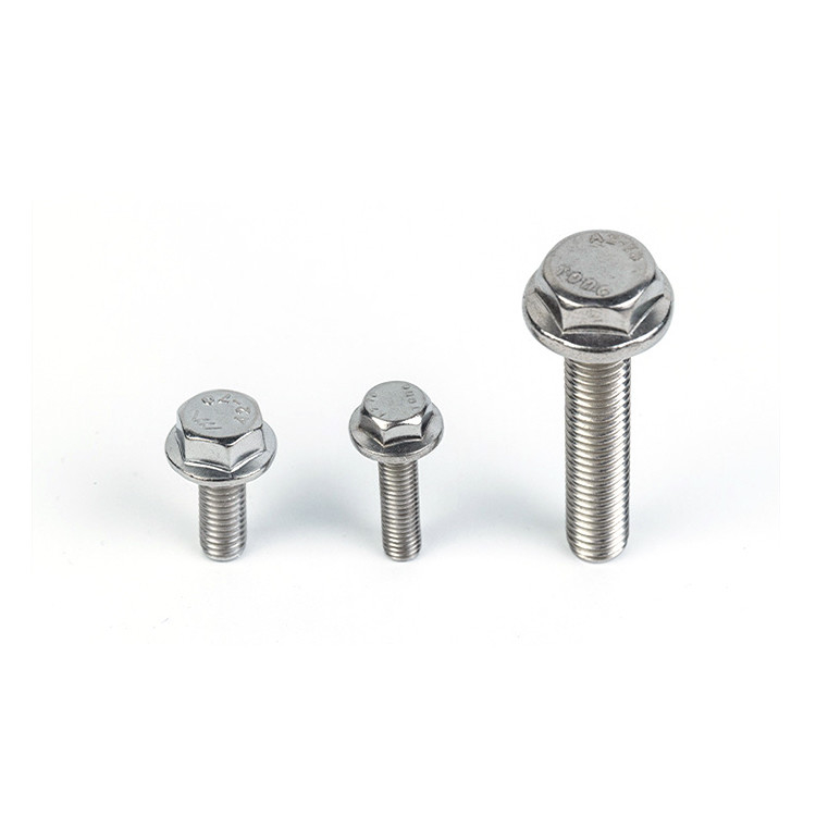 Customized 304 316 A2 A4 Hex Flange Titanium Machine Thread Bolt for Stainless Steel