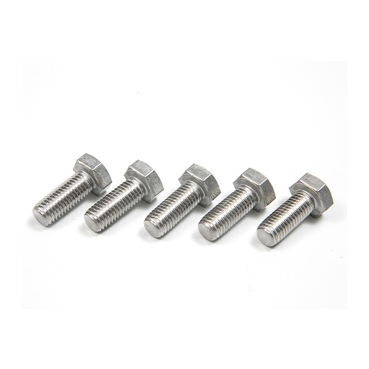 DIN Standard Stainless Steel High Strength M6 M8 M10 M12 M14 M16 M18 M20 Hexagon Bolt