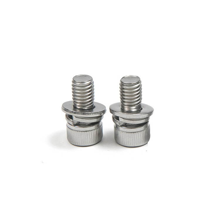 Assembly Stainless Steel 304 316 DIN912 Hex Socket Head Screw With Flat Washer And Spring Washer Assembled