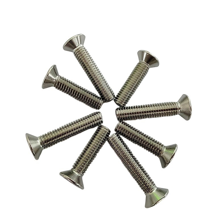 Full Thread Type Anti-theft License Plate Socket Head Torx Security Screw with Pin