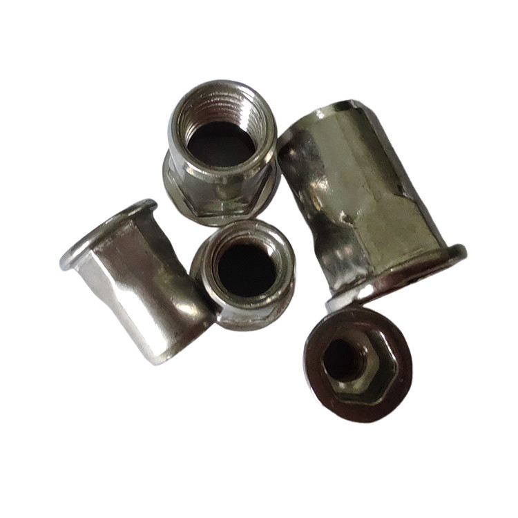 Essential Metric Flat Head Semi-Hex Blind Threaded Rivet Nut for Home Appliances