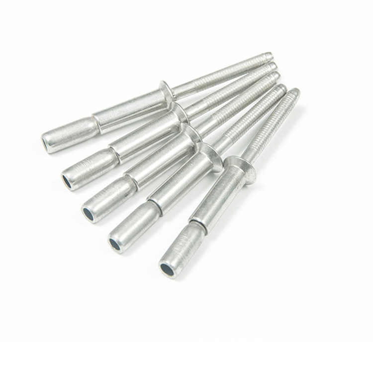 Plain Finish Stainless Steel 304 Closed Round Head Self Plugging Cup Type Blind Rivet