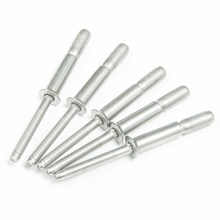 Waterproof Structural Rivets with Round Head and Plain Finish Stainless Steel 4.8 6.4mm