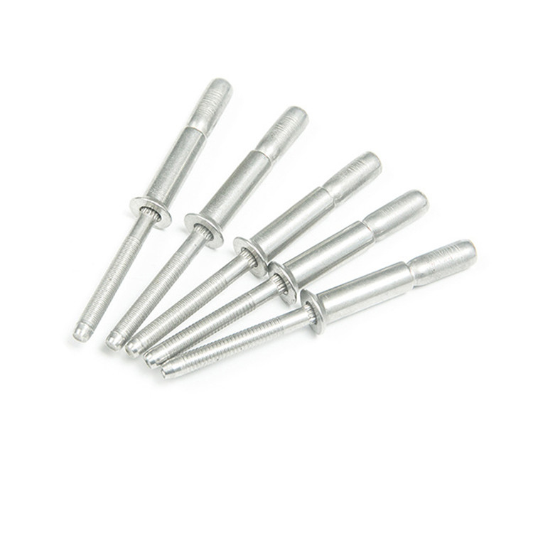 Open Type Stainless Steel Break Blind Rivet with Domed Head and Black Painted Stem