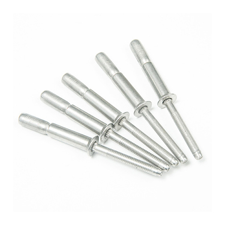 Plain Finish 2024 Stainless Steel Cup Type Blind Rivets for Industrial Applications