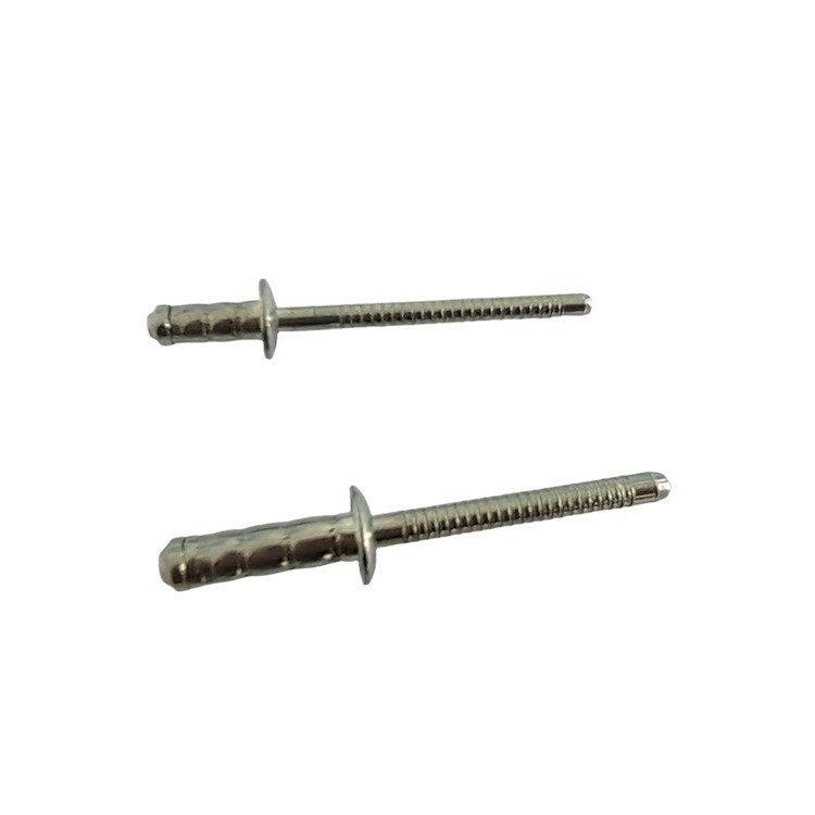 Stainless Steel Mushroom Head Multi Grip Blind Rivet Single 4mm for Car Aircraft