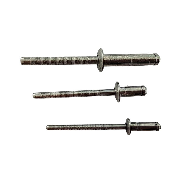 GB Standard Mushroom Head Break Mandrel Blind Rivets 3.2mm 4.0mm 4.8mm 6.4mm Pure Stainless Steel 304/316